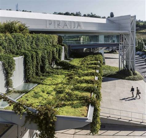 stabilimento gucci terranuova bracciolini|The Prada Group reopens its production sites in Tuscany.